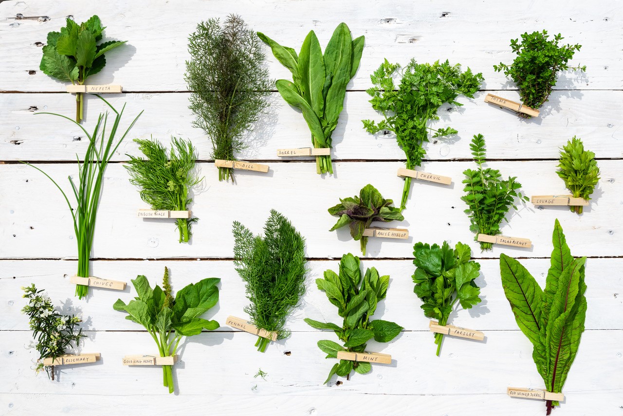 British Herb Kitchen Tasting Snape Maltings